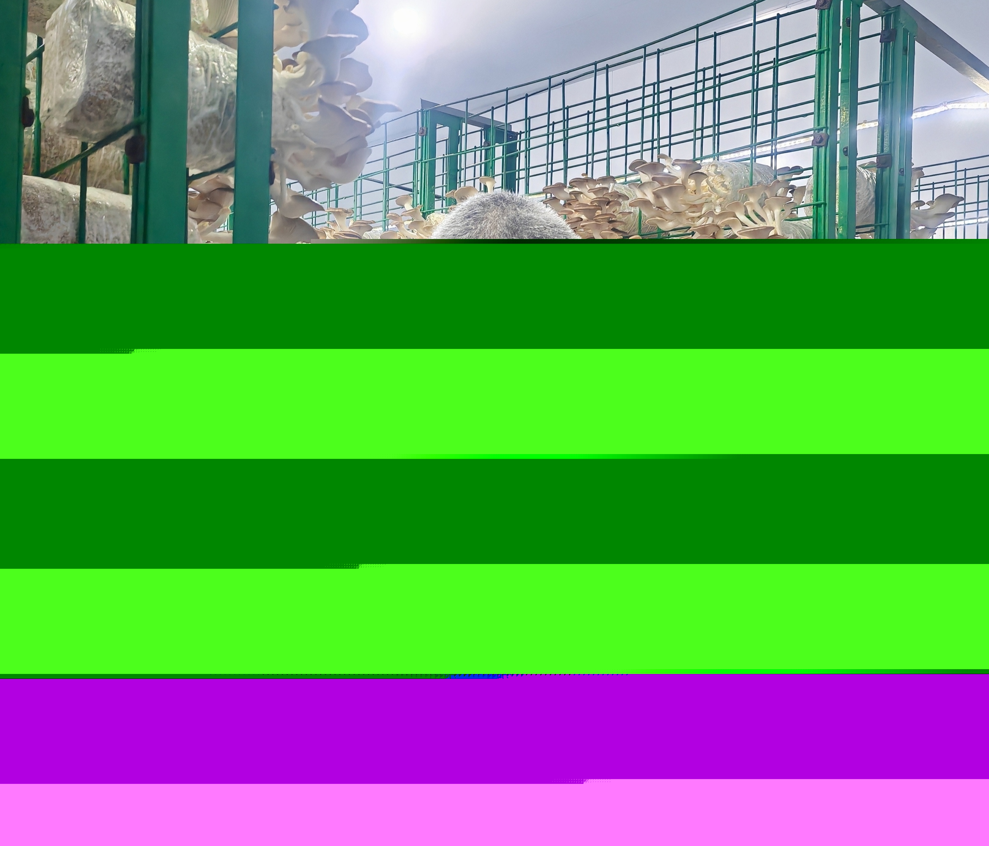 1721350829946090404.jpg 1721350829946090404.jpg