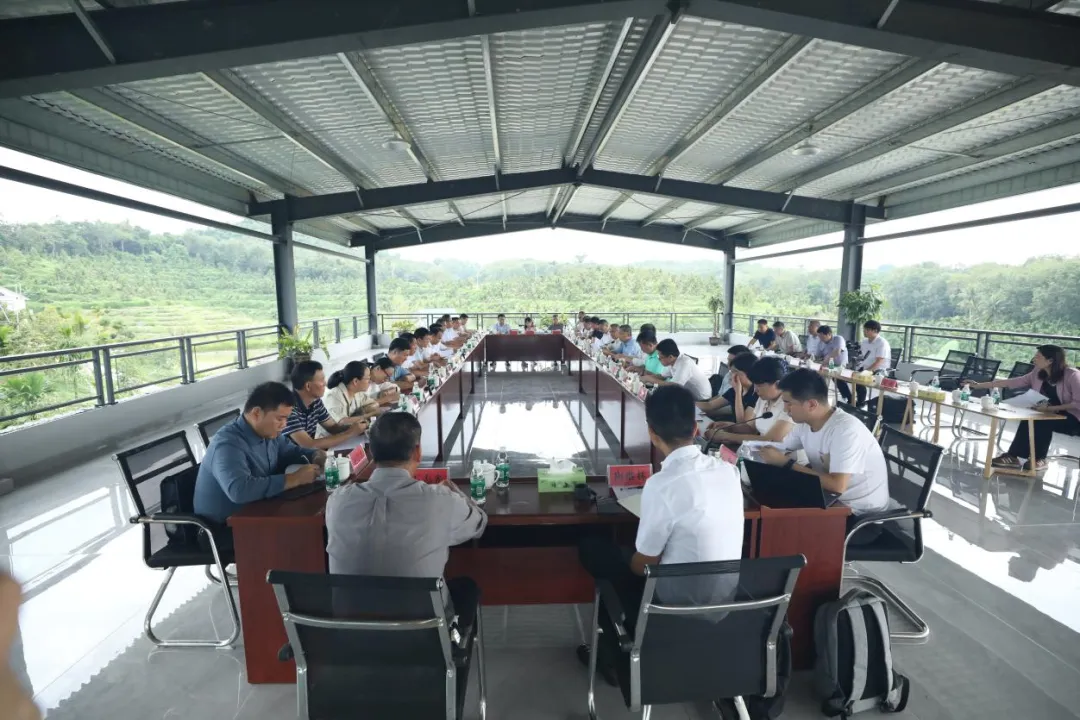 1731029995880054093.jpg 1731029995880054093.jpg