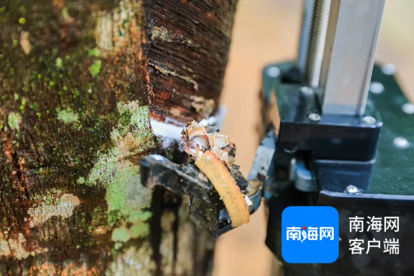 1732496576459054321.jpg 1732496576459054321.jpg