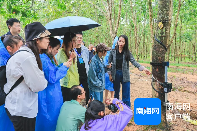 1732496666669053997.jpg 1732496666669053997.jpg