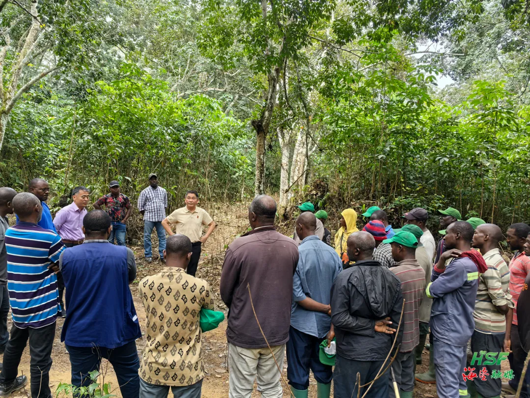 1732851554236025922.jpg 1732851554236025922.jpg