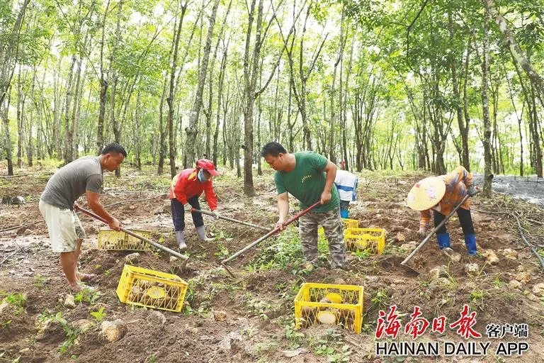 1733300285242041064.jpg 1733300285242041064.jpg