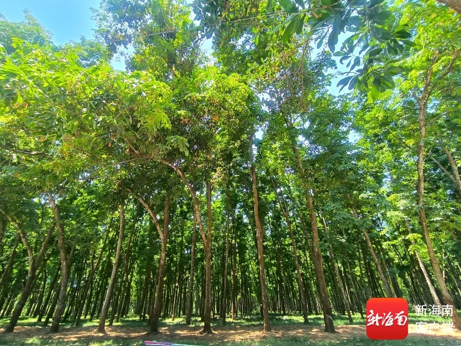 1748479763456073437.jpg 1748479763456073437.jpg